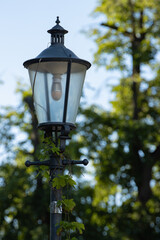 Fototapeta na wymiar zgaszona lampa w parku miejskim