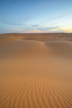 Spring sunset at the gates of the Sahara desert, with the sand dunes illuminated by the golden light, Tunisia