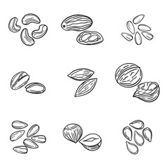 vector set nuts, drawn line icons set, almond, cashew, seed