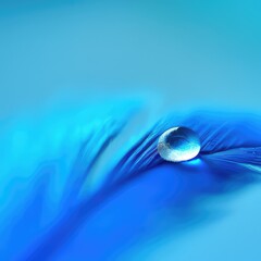 Beautiful abstract water droplet on blue feather, macro shot with vibrant color. Suitable for backgrounds, articles and presentations.