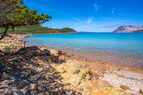 View of Capo Coda Cavallo beach and Isola di Tavolara in background, Sardinia