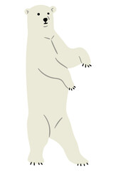 Polar Bear Single 14 PNG