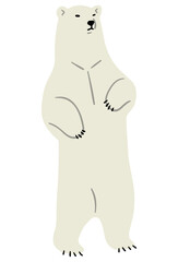 Polar Bear Single 13 PNG