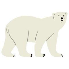 Polar Bear Single 30 PNG