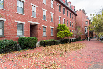 Apartment buildings along a brick sidewalk covered in fallen leaves on acloudy autumn day