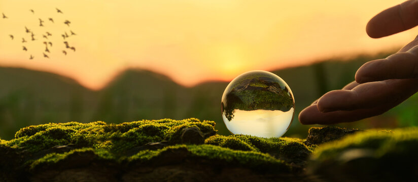 CO2 emission reduction concept. Hand holding glass with butterfly . Sustainable, environmentally friendly environment, conservation climate change. Save planet, Reduce global warming, environment.