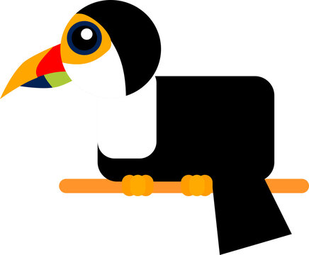 Toucan bird