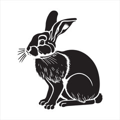 Fototapeta na wymiar Bunny vector & illustration