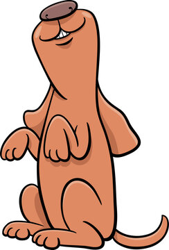recommend clip art: happy cartoon dog comic animal character begging