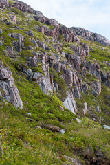 Mountains and rocks in the north, the village of Teriberka. Tundra in the north