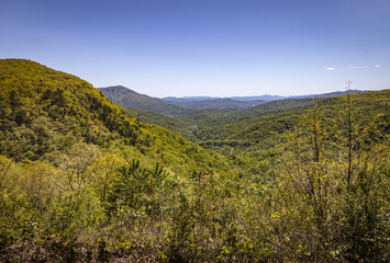 View over North Cove, Pisgah National Forest, Blue Ridge Mountains, North Carolina, USA