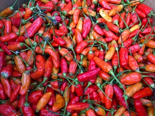 group of red hot chili in the market