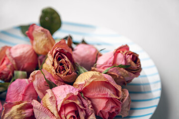Obraz na płótnie Canvas Several pink dried rose buds on a plate as interior decor. Group of beautiful dead flowers close-up as a concept of passed time, sadness, depression. Selective focus on the foreground