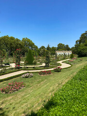 Roseraie du jardin de Bagatelle à Paris