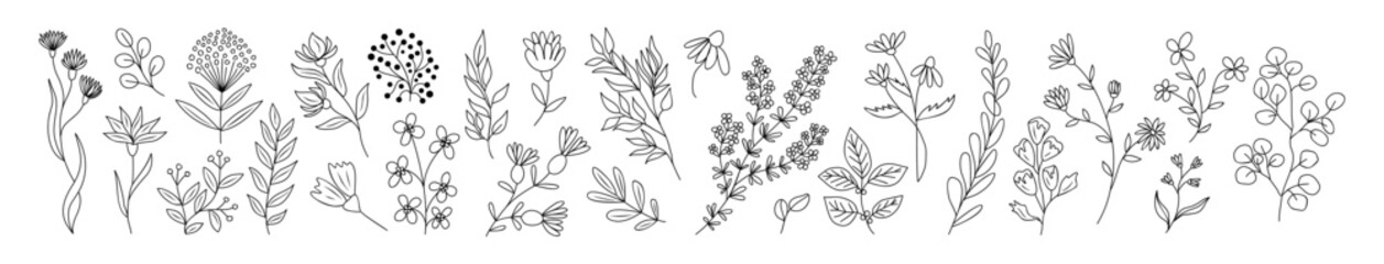 Custom blinds with your photo Set of tiny wild flowers and plants line art vector botanical illustrations. Trendy greenery hand drawn black ink sketches collection. Modern design for logo, tattoo, wall art, branding and packaging.