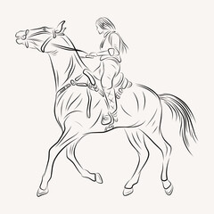 young lady riding a horse line art illustration