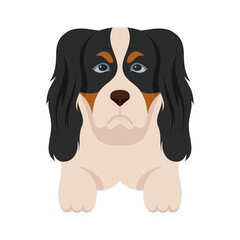 Cartoon puppy dogs breeds pets cute characters. Flat design of cute dogs and puppies vector illustration.