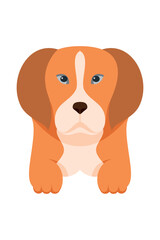 Cartoon puppy dogs breeds pets cute characters. Flat design of cute dogs and puppies vector illustration.