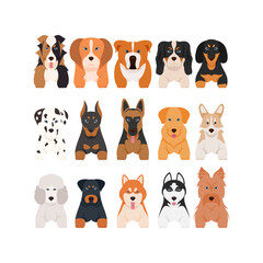 Cartoon puppy dogs breeds pets cute characters. Flat design of cute dogs and puppies vector illustration. - obrazy, fototapety, plakaty