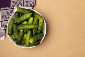 Freshly picked cucumbers in a bowl on the table