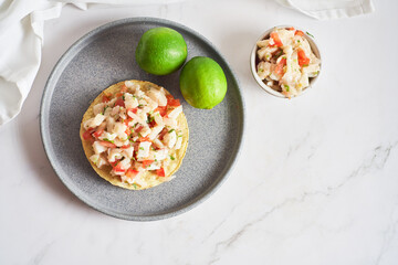 Peruvian and mexican toast fish ceviche. Top View.