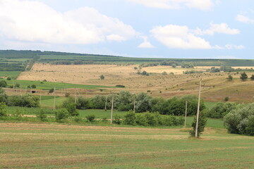 A field with trees and power lines