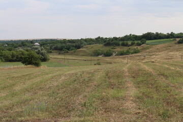 Obraz premium A field with trees and a hill