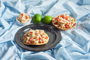 Ceviche, a fish dish of the cuisine of Peru, Ecuador and Mexico