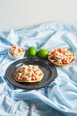 Delicious ceviche of fish with vegetables and tostadas