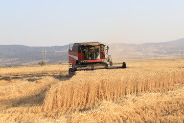Image of combine harvester harvesting wheat.