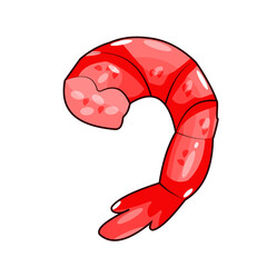 shrimp seafood vector element