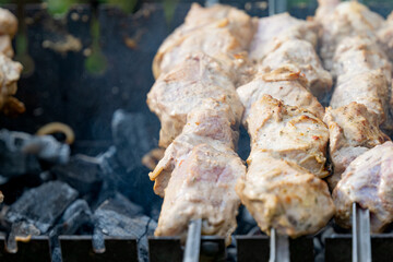 shish kebab on a skewer close-up