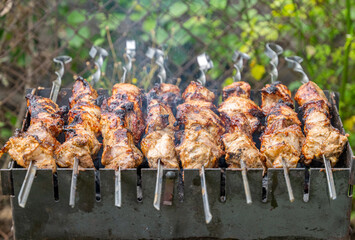 meat is roasted on the grill close-up
