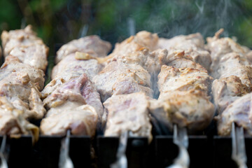 meat is roasted on the grill close-up