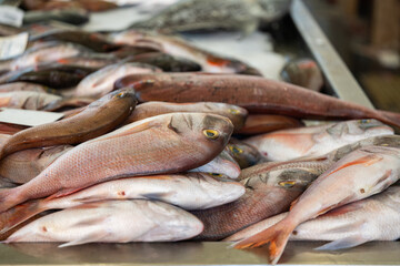 fish at the market in Funchal