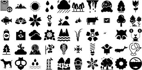 Massive Set Of Nature Icons Set Black Simple Symbol Blossom, Line, Cactus, Set Glyphs Isolated On White Background