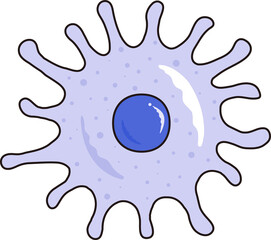 medical diagram macrophage