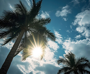 Coconut palm trees with sunbeams on blue sky background. High quality photo
