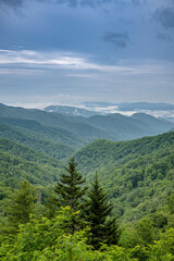 Fototapeta premium great smoky mountains national park