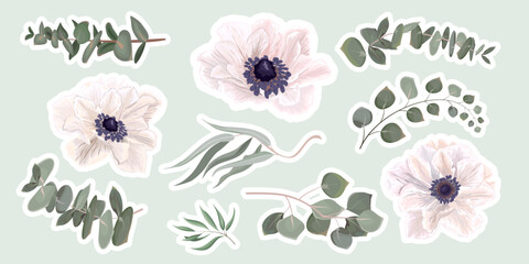 A set of vector stickers for printing. White delicate anemones, juicy eucalyptus, plants and leaves . Vector illustration