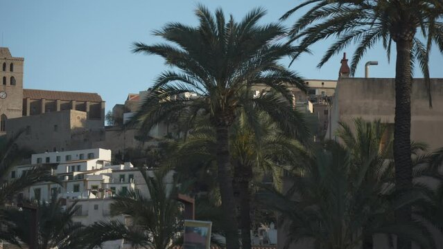 Palm trees and Cathedral above Dalt Vila old town, UNESCO World Heritage Site, Ibiza Town, Ibiza, Balearic Islands, Spain
