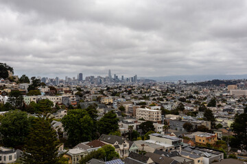 Fototapeta na wymiar A view on San Francisco, CA from a hill