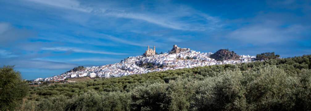 Panoramic view of the town of Olvera, in Cadiz, Spain, with its white houses scattered on a hill and with the church on top