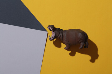 Toy hypopotamus on colored background