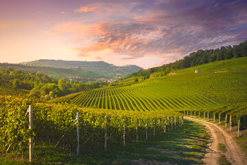 Langhe vineyards view, rural road, Barolo and La Morra in the background, Piedmont, Italy - 621024460