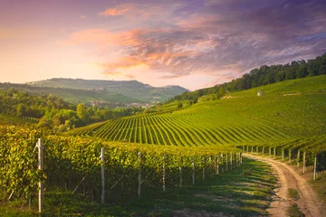 Fototapeten Langhe vineyards view, rural road, Barolo and La Morra in the background, Piedmont, Italy © stevanzz