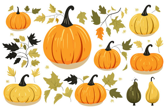 Pumpkins. Set of autumn leaves and pumpkins vector illustration.