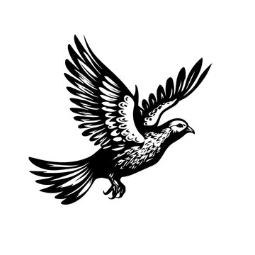 recommend clip art: Bird Vector