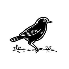 Bird Vector