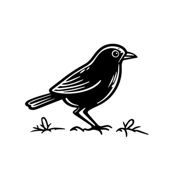 recommend clip art: Bird Vector